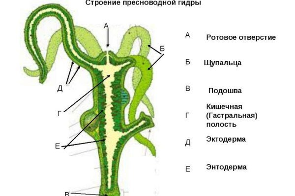 Зеркала сайта кракен